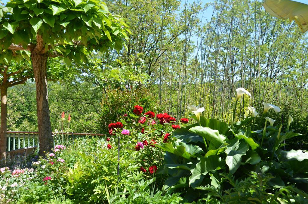 La Gueriniere Bed & Breakfast Cenac-et-Saint-Julien Exterior photo