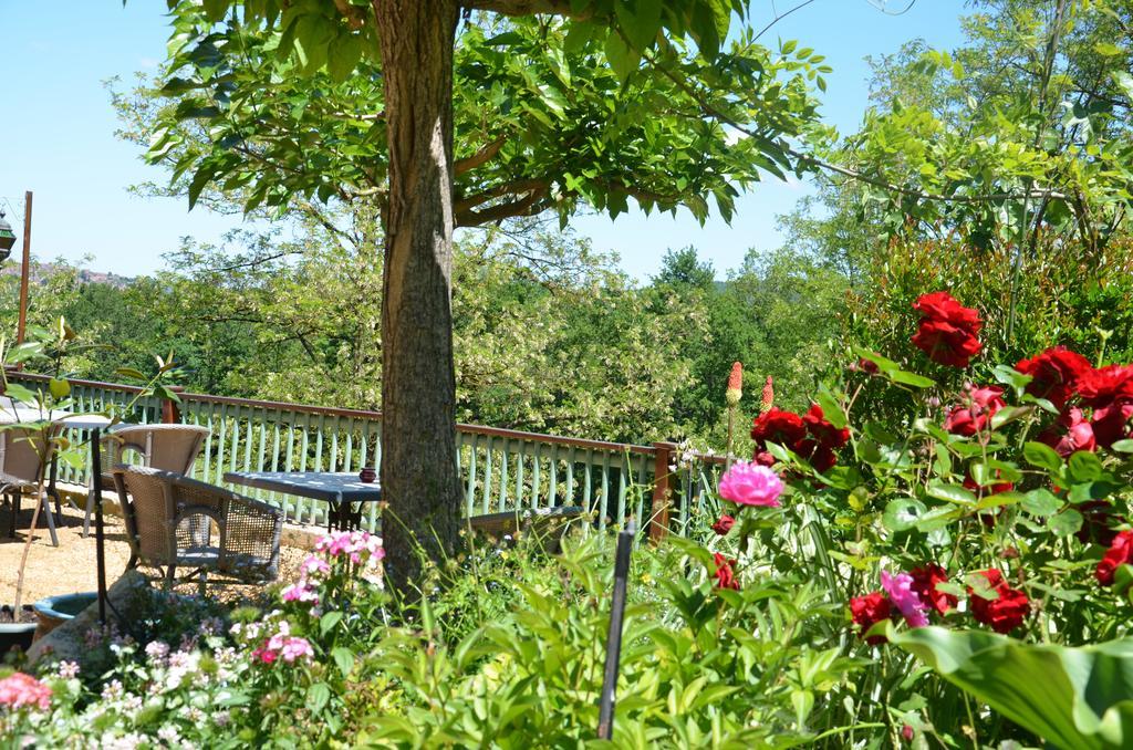 La Gueriniere Bed & Breakfast Cenac-et-Saint-Julien Exterior photo