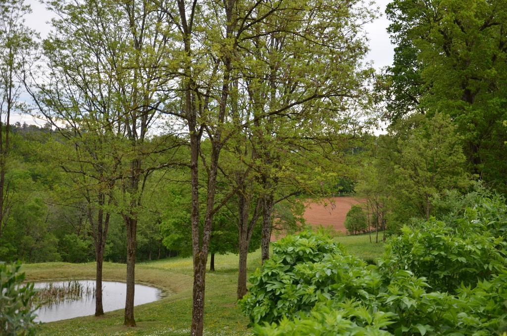 La Gueriniere Bed & Breakfast Cenac-et-Saint-Julien Exterior photo