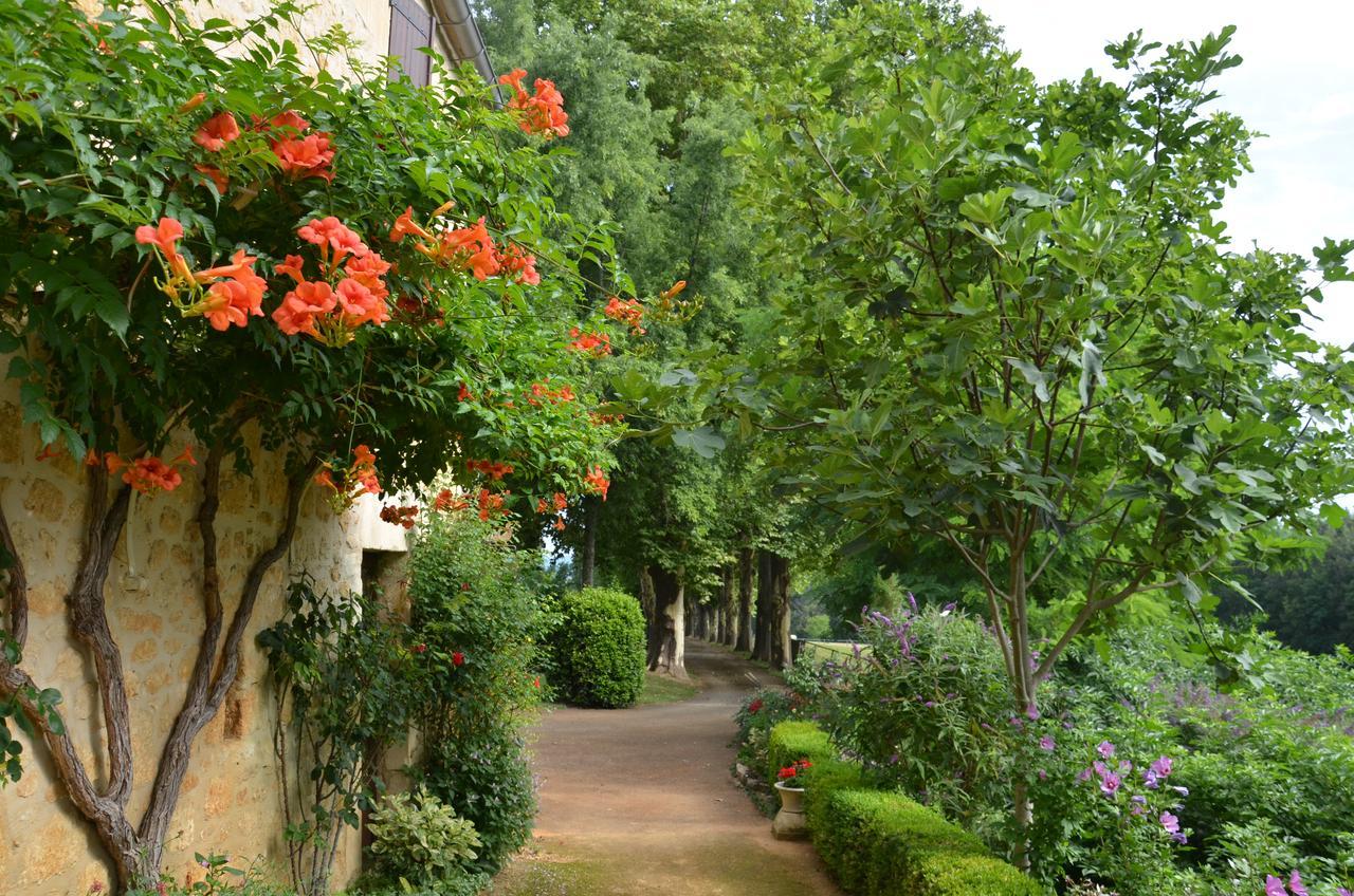 La Gueriniere Bed & Breakfast Cenac-et-Saint-Julien Exterior photo